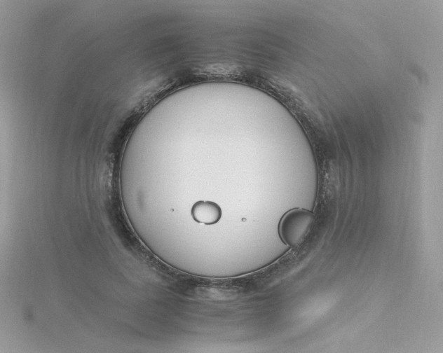 X0000115480739200911271328