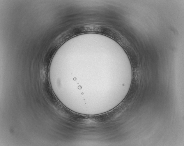 X0000115480741200911271328