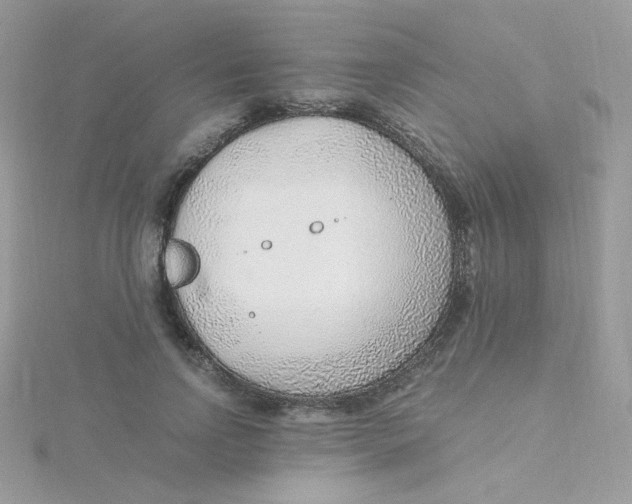 X0000115480742200911271328