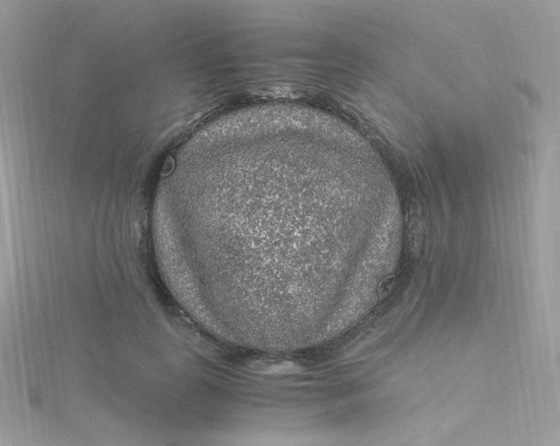 X0000115480747200911271328