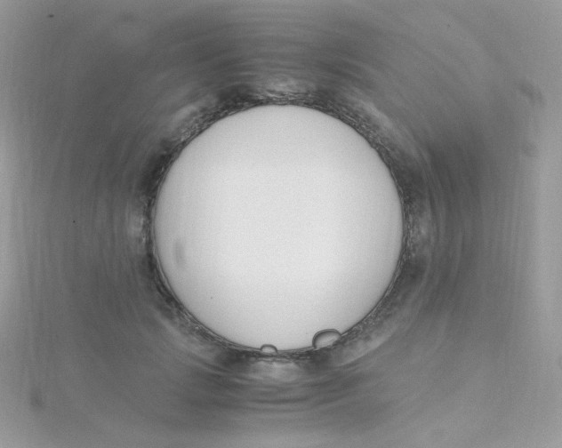 X0000115480749200911271328