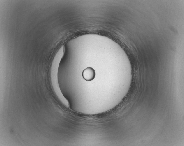 X0000115480750200911271328