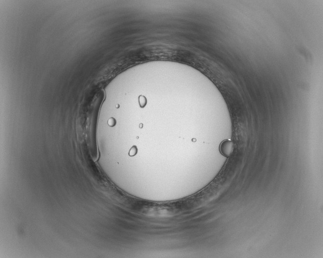 X0000115480751200911271328