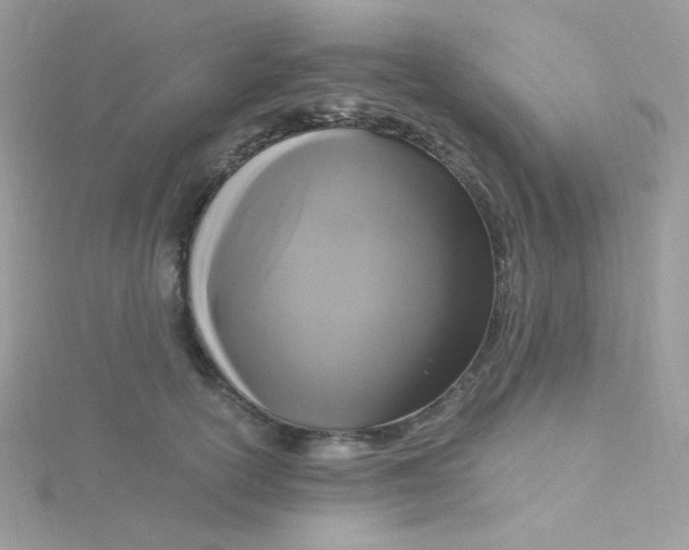 X0000115480754200911271328