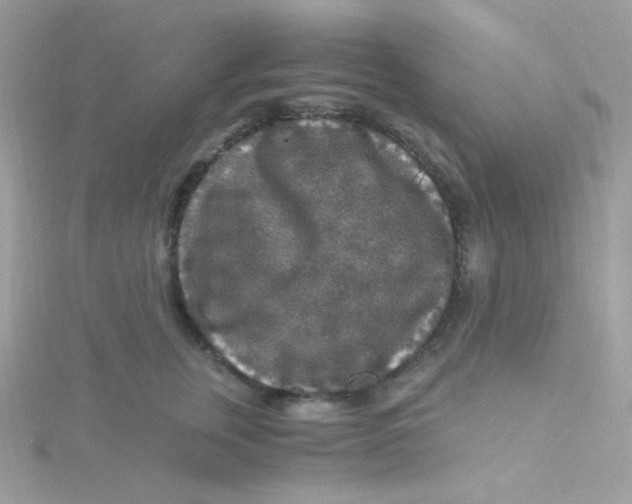 X0000115480759200911271328