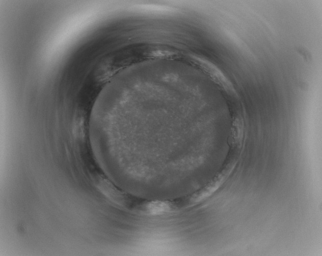 X0000115480762200911271328