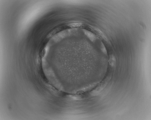 X0000115480763200911271328