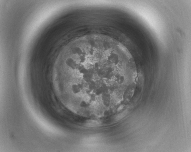 X0000115480765200911271328