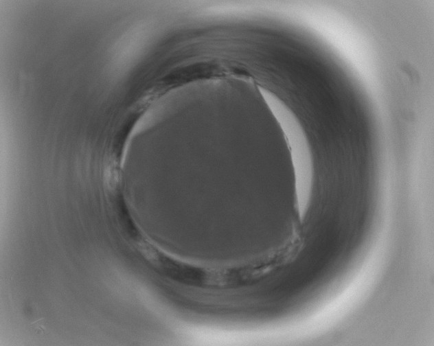 X0000115480766200911271328