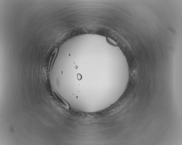 X0000115480772200911271327