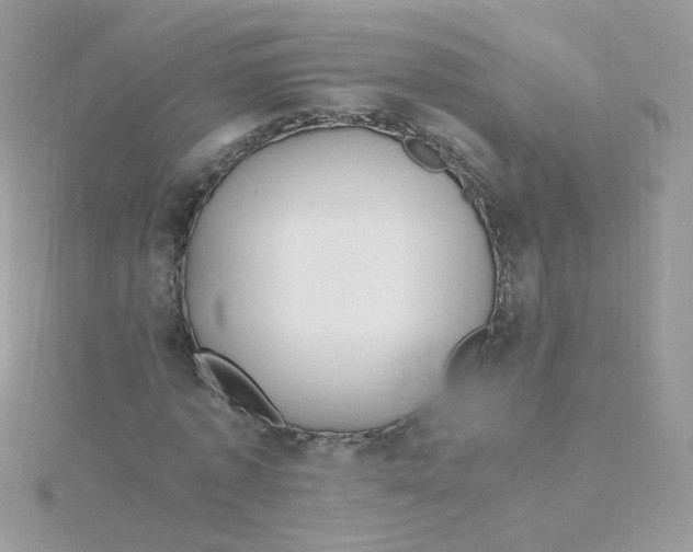 X0000115480773200911271327