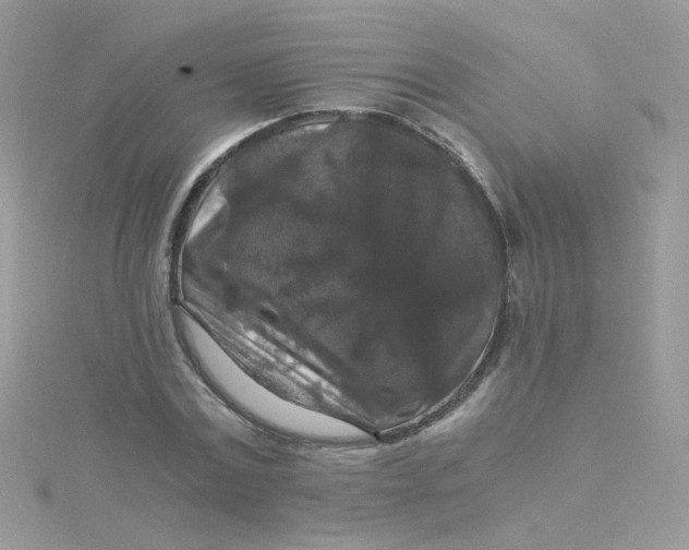 X0000115480779200911271327