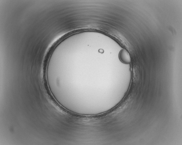 X0000115480780200911271327