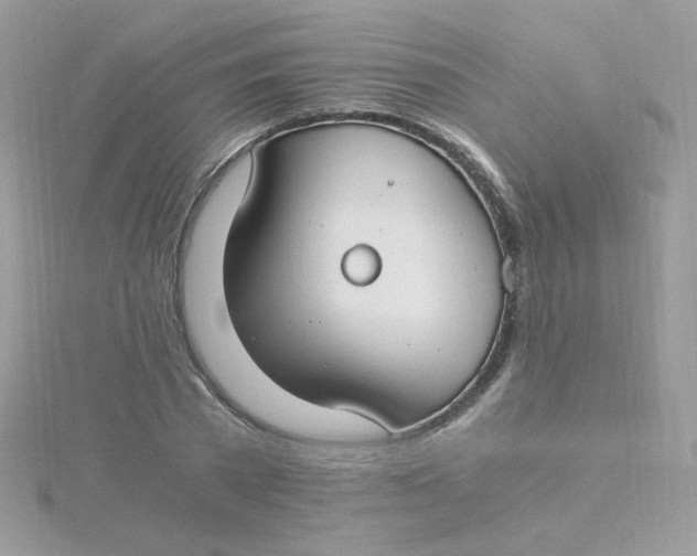 X0000115480785200911271327