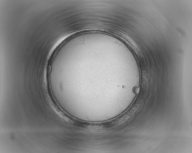 X0000115480788200911271327