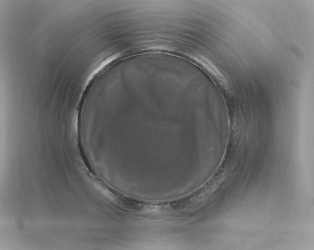 X0000115480790200911271327