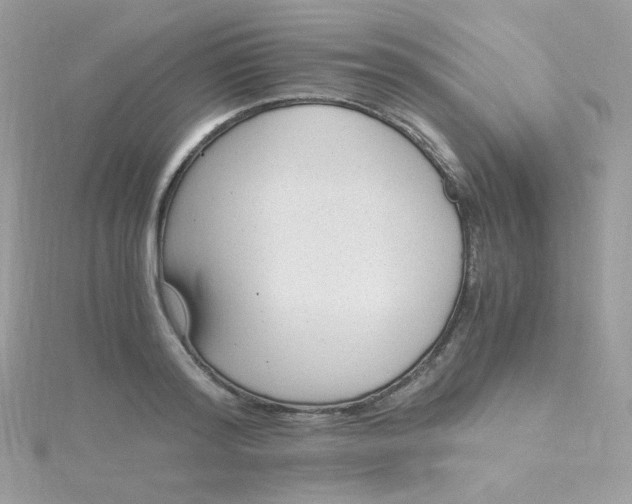 X0000115480796200911271327