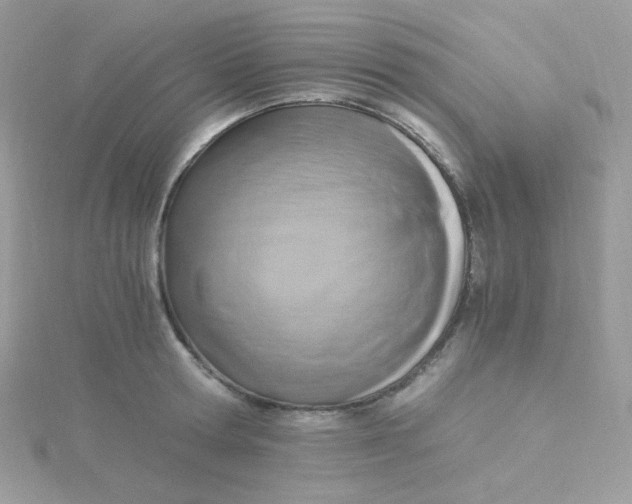 X0000115480802200911271327