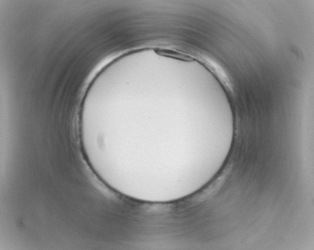 X0000115480808200911271327