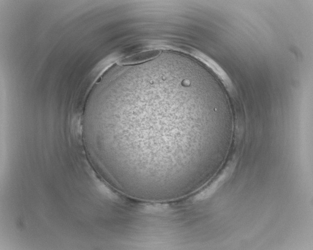 X0000115480809200911271327