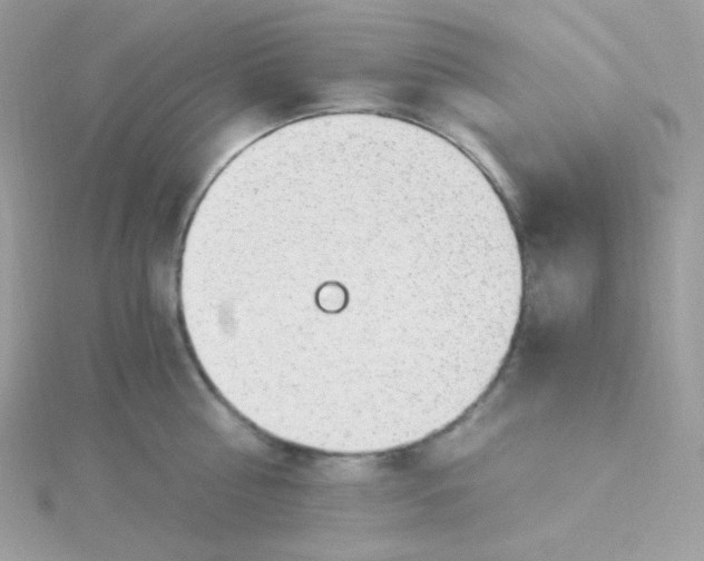 X0000115480810200911271327