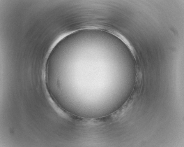 X0000115480811200911271327