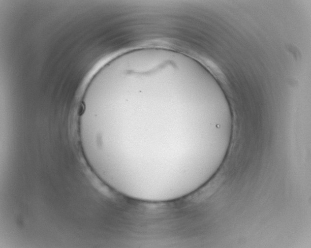 X0000115480816200911271327