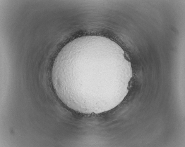 X0000115480817200911271326