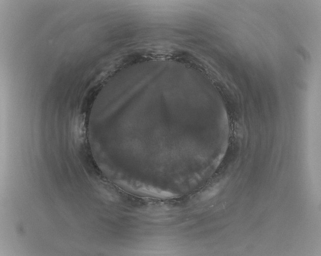 X0000115480818200911271326