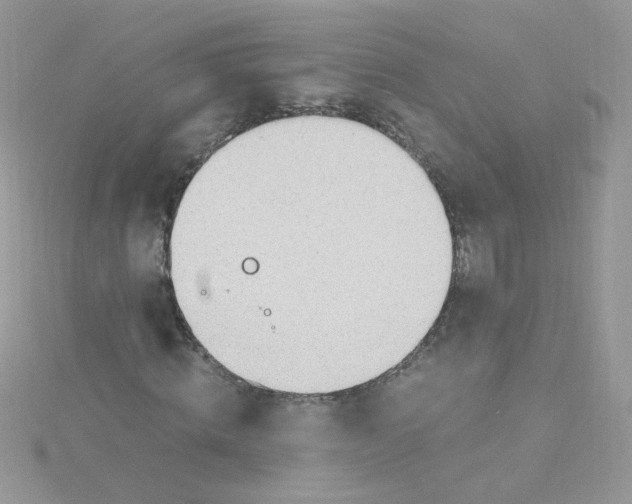 X0000115480820200911271326