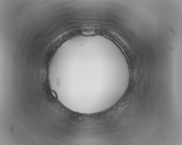 X0000115480821200911271326