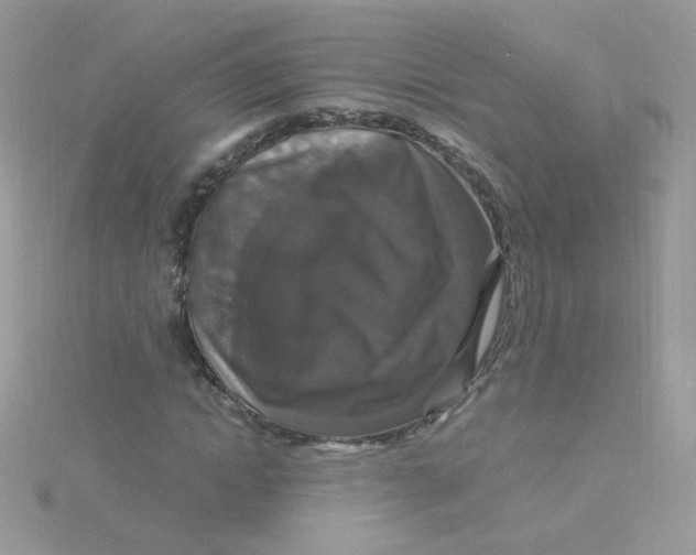 X0000115480822200911271326