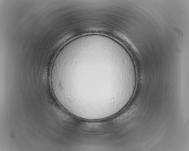 X0000115480825200911271326