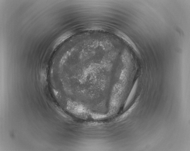 X0000115480826200911271326