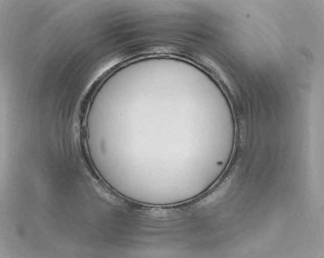 X0000115480827200911271326