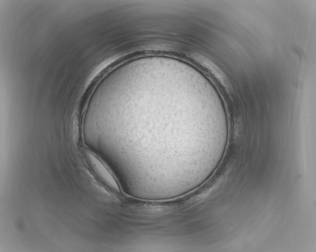 X0000115480829200911271326