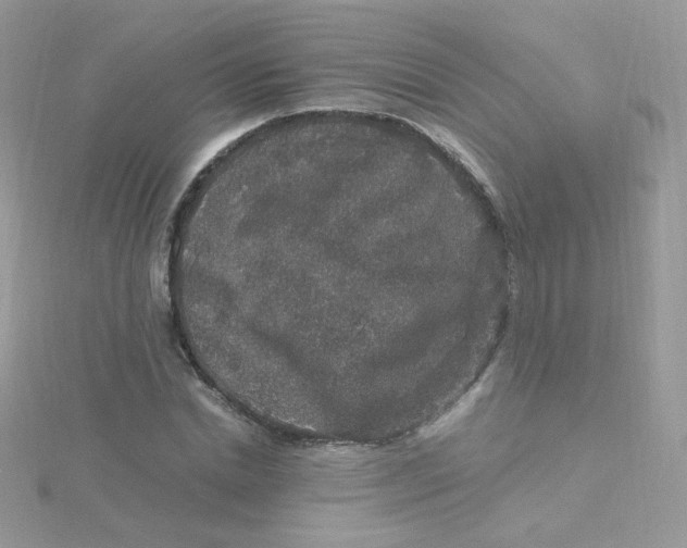 X0000115480830200911271326