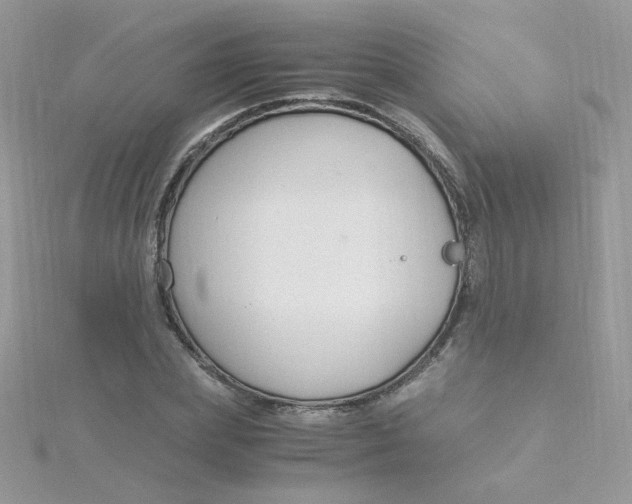 X0000115480831200911271326