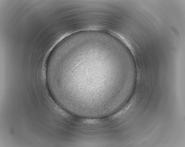 X0000115480835200911271326