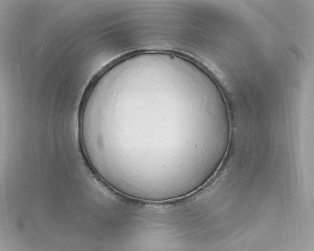 X0000115480840200911271326