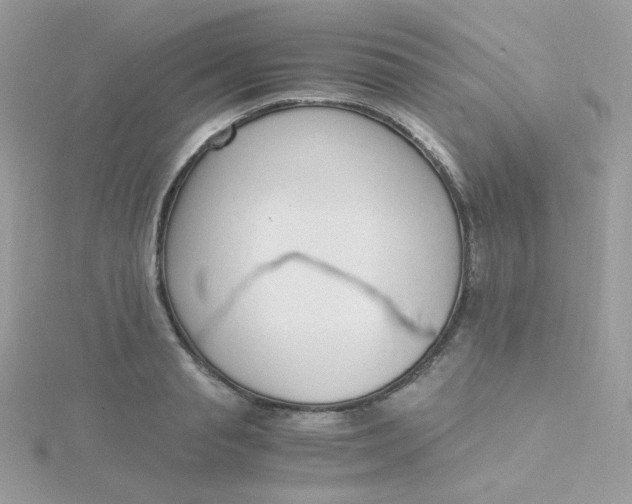 X0000115480845200911271326