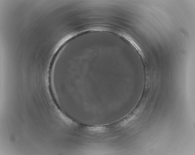 X0000115480853200911271327