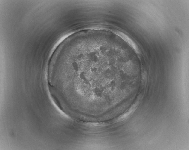 X0000115480855200911271327