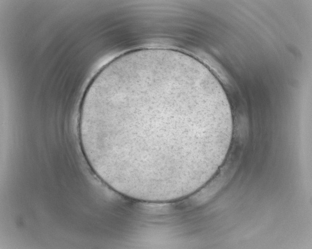 X0000115480856200911271327