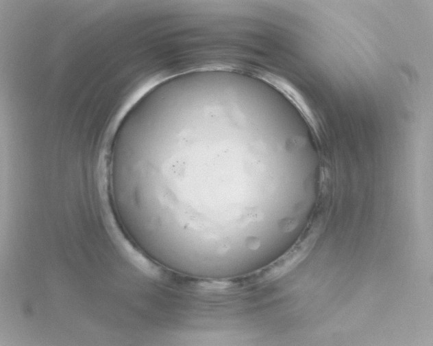 X0000115480859200911271327