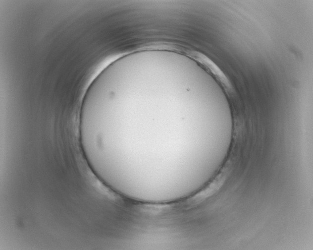 X0000115480860200911271327