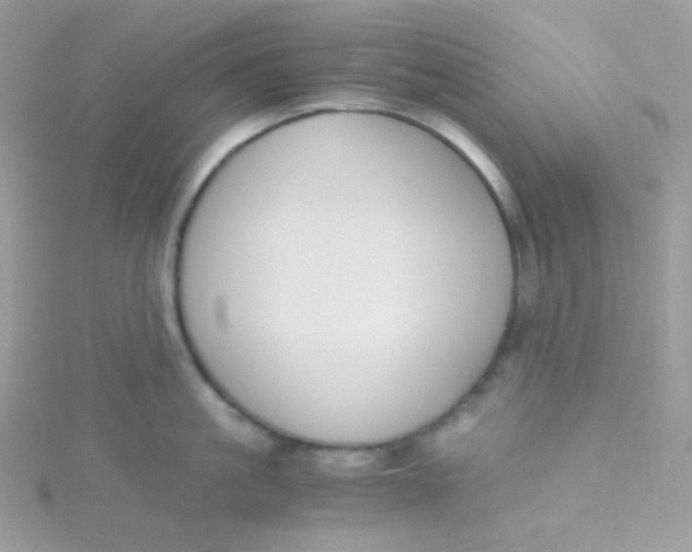 X0000115480861200911271327