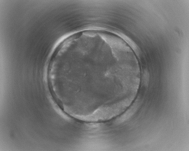 X0000115480862200911271327