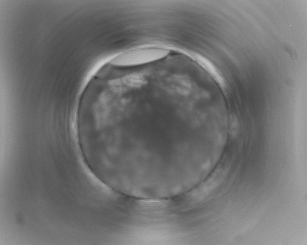 X0000115480863200911271327