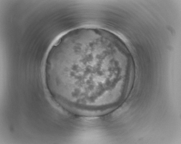 X0000115480864200911271327